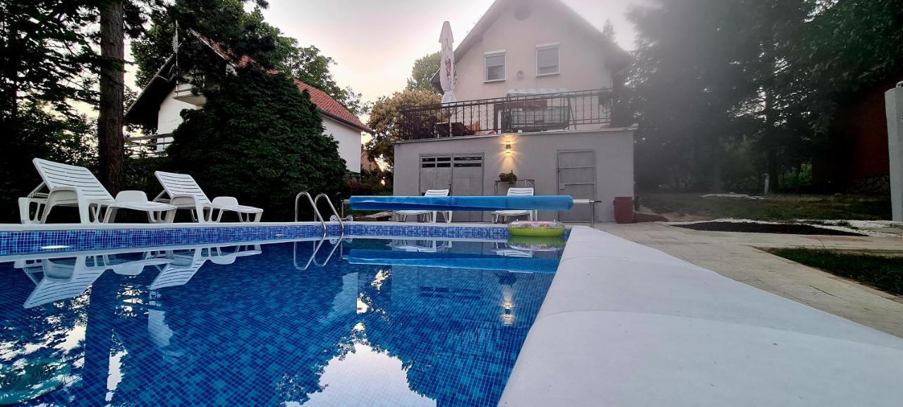 הוילה Velika Remeta Vila Sinfonia, A House With A Pool מראה חיצוני תמונה